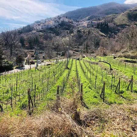 La Casa Di Civita *